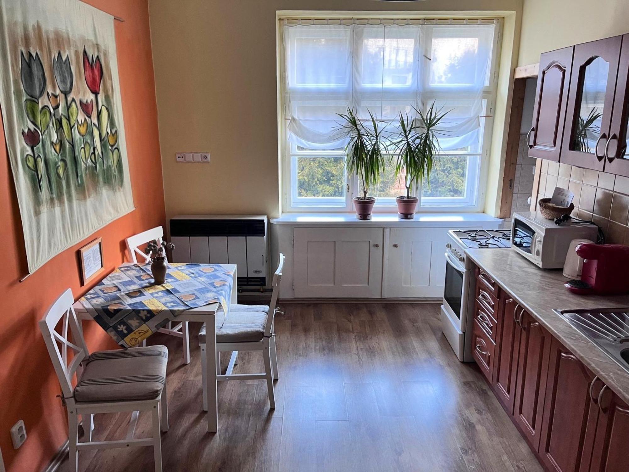 Apartman Flora オロモウツ エクステリア 写真